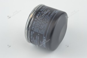 Filtre à huile adaptable pour BRIGGS & STRATTON