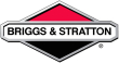 Briggs & Stratton