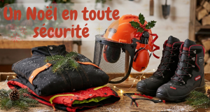 Un noël en toute sécurité
