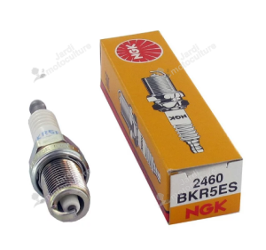 1 Bougie d'allumage NGK BKR5ES