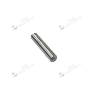 Goupille de came 31034-137