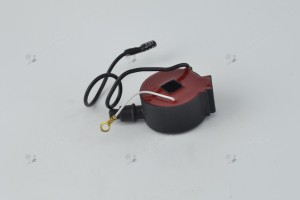 Bobine d'allumage électronique  496328 pour moteur Bernard