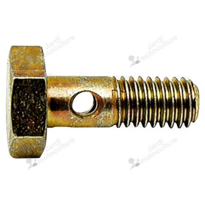 Vis creuse simple pour banjo