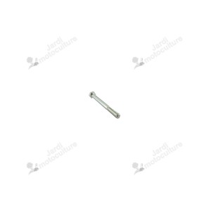 Vis Hexagonale Castelgarden 112692050