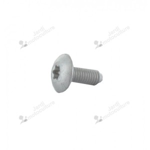VIS TORX M6 X 15MM GGP - CASTELGARDEN 9893-0616-16