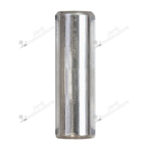 Axe de piston 10001335430 Echo