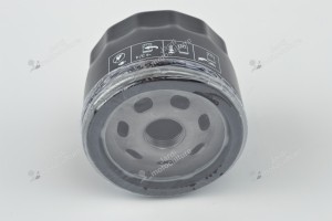 Filtre à huile moteur Briggs & Stratton 492932S