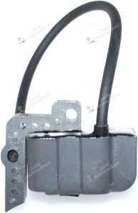 MODULE ECHO 15662639431