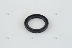 Joint spi pour moteur Briggs & Stratton