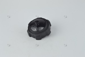 Bouchon essence moteur Briggs Stratton 493988 - 795027