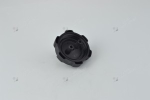 Bouchon essence moteur Briggs Stratton 493988 - 795027