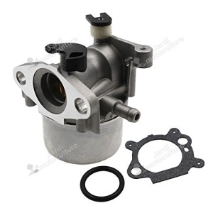 Carburateur Briggs & Stratton Adaptable