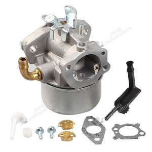 Carburateur pour moteur Briggs & Stratton 798653