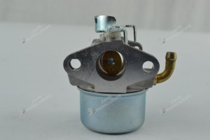 Carburateur pour moteur Briggs & Stratton 798653
