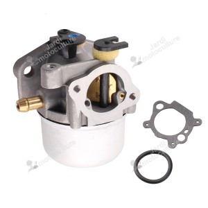 Carburateur Briggs & Stratton 799871 790845 794304 796707 799464 799866