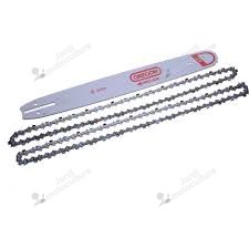 Pack de 1 guide 138PXBD025 + 2 chaînes 21BPX056E OREGON ref 543480