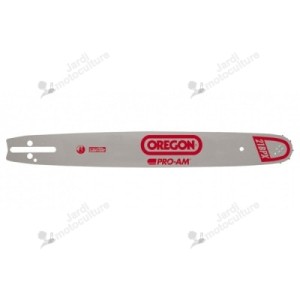 Pack de 1 guide 138PXBD025 + 2 chaînes 21BPX056E OREGON ref 543480