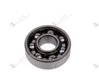 Roulement Echo 90080306000