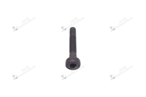Boulon V805000180 pour tronçonneuse Echo