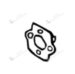Joint Echo A205000020