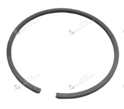 SEGMENT Echo A101000510