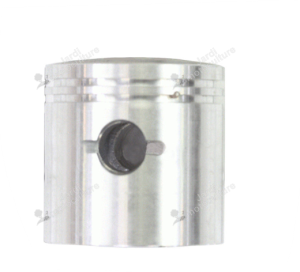 Piston Echo A100000750
