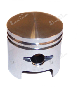 Piston Echo A100000730