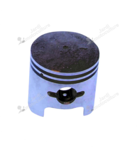 Piston Echo A100000620