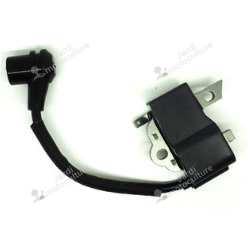 Module Allumage Echo & Shindaiwa A411000264