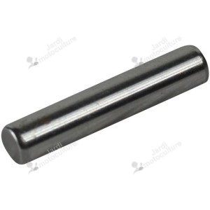 Cliquet GGP-CASTELGARDEN 122753000/0 pour groupe de traction de tondeuse