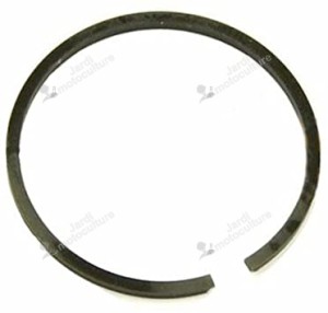 Segments ECHO 10001132330