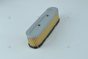 Filtre à air pour moteur Tecumseh 35403