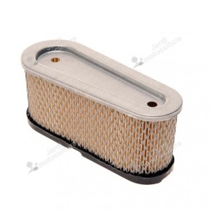 Filtre à air pour moteur Tecumseh 15 cv 36356