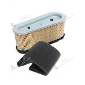 Filtre à air pour moteur Tecumseh 15 cv 36356