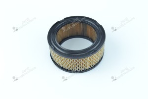Filtre à air pour moteur Briggs & Stratton 392286