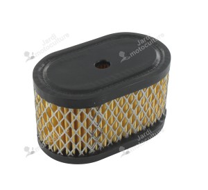 Filtre à air BRIGGS ET STRATTON 494586 - 497725