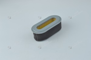 Filtre à air pour moteur Robin 220-32812-04