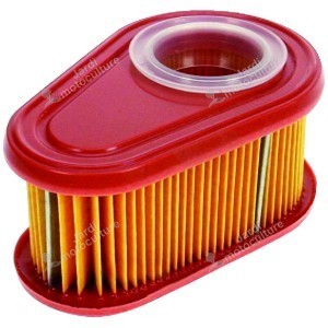 Filtre à air Briggs et Stratton 795066