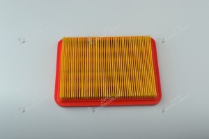 Filtre à air moteur Emak  L66150155, 66150155