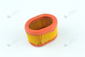 Filtre à air pour moteur Briggs & Stratton 790166
