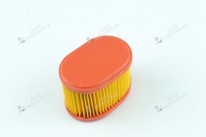 Filtre à air pour moteur Briggs & Stratton 790166
