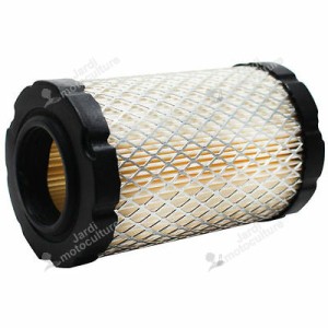 Filtre à air briggs et stratton 796031