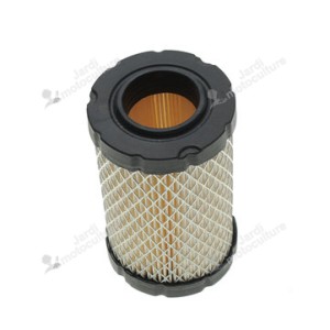 Filtre à air briggs et stratton 796031