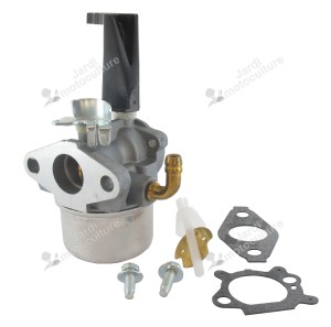 CARBURATEUR MOTEUR BRIGGS ET STRATTON 693865 - 694508 - 696981 - 697354 - 698859 - 798653
