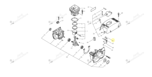 Module Echo V541000110
