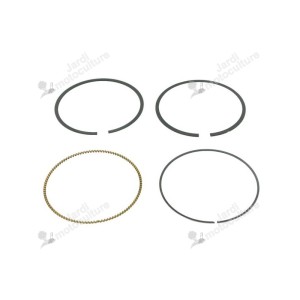 Kit segment BRIGGS et STRATTON 792306