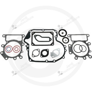 pochettes de joints pour moteur BRIGGS ET STRATTON 697191