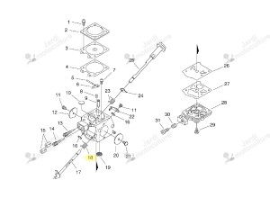 Volet gaz carburateur echo 12311623230