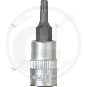 Douille tournevis 1/4" TX T15 [7301092]