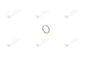 Clip V490000500 Echo
